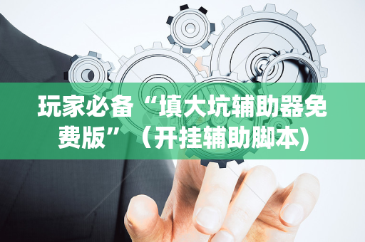 玩家必备“填大坑辅助器免费版”（开挂辅助脚本)