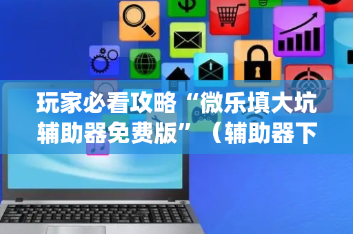 玩家必看攻略“微乐填大坑辅助器免费版”（辅助器下载)