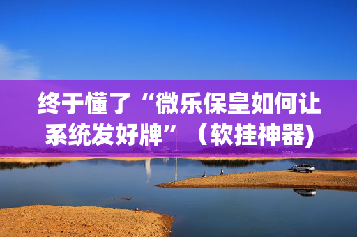 终于懂了“微乐保皇如何让系统发好牌”（软挂神器)