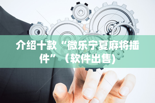 介绍十款“微乐宁夏麻将插件”（软件出售)