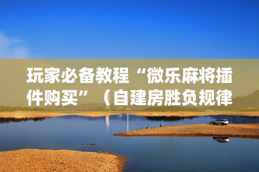 玩家必备教程“微乐麻将插件购买”（自建房胜负规律)