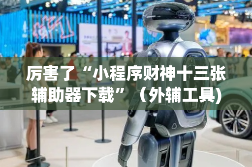厉害了“小程序财神十三张辅助器下载”（外辅工具)