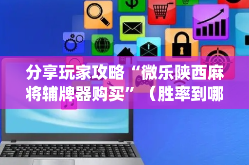 分享玩家攻略“微乐陕西麻将辅牌器购买”（胜率到哪调)