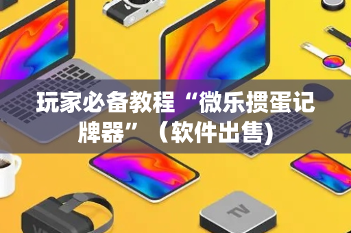 玩家必备教程“微乐掼蛋记牌器”（软件出售)