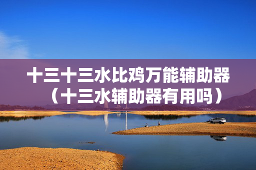 十三十三水比鸡万能辅助器（十三水辅助器有用吗）