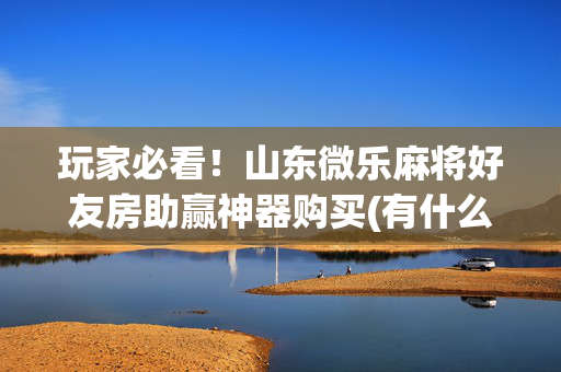 玩家必看！山东微乐麻将好友房助赢神器购买(有什么规律吗)