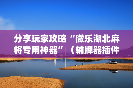 分享玩家攻略“微乐湖北麻将专用神器”（辅牌器插件购买)
