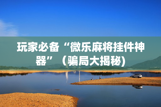 玩家必备“微乐麻将挂件神器”（骗局大揭秘)