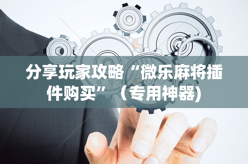 分享玩家攻略“微乐麻将插件购买”（专用神器)