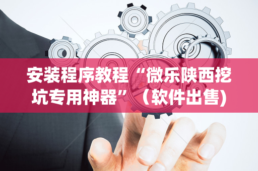 安装程序教程“微乐陕西挖坑专用神器”（软件出售)