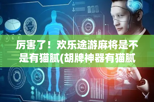 厉害了！欢乐途游麻将是不是有猫腻(胡牌神器有猫腻吗)