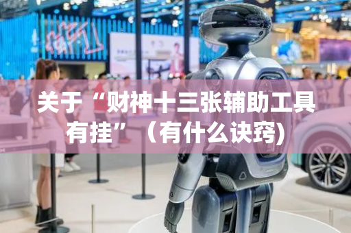 关于“财神十三张辅助工具有挂”（有什么诀窍)