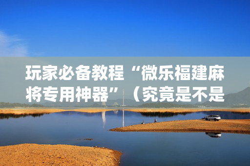 玩家必备教程“微乐福建麻将专用神器”（究竟是不是有挂)