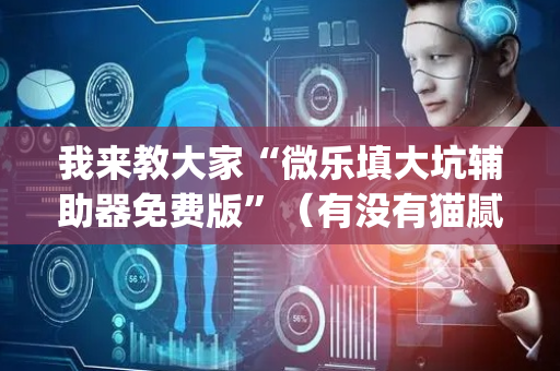 我来教大家“微乐填大坑辅助器免费版”（有没有猫腻)