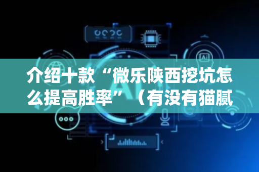 介绍十款“微乐陕西挖坑怎么提高胜率”（有没有猫腻)