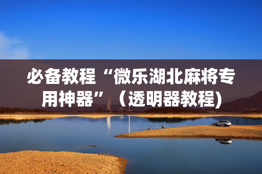 必备教程“微乐湖北麻将专用神器”（透明器教程)