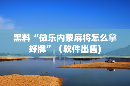 黑料“微乐内蒙麻将怎么拿好牌”（软件出售)