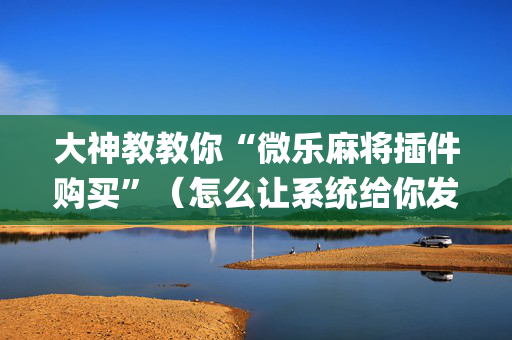 大神教教你“微乐麻将插件购买”（怎么让系统给你发好牌)