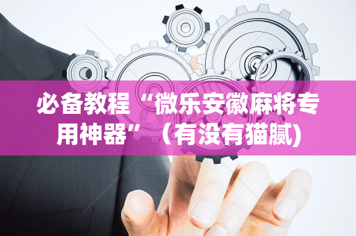 必备教程“微乐安徽麻将专用神器”（有没有猫腻)