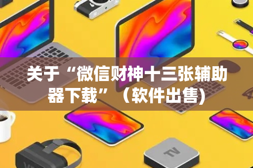 关于“微信财神十三张辅助器下载”（软件出售)