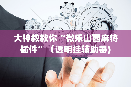 大神教教你“微乐山西麻将插件”（透明挂辅助器)