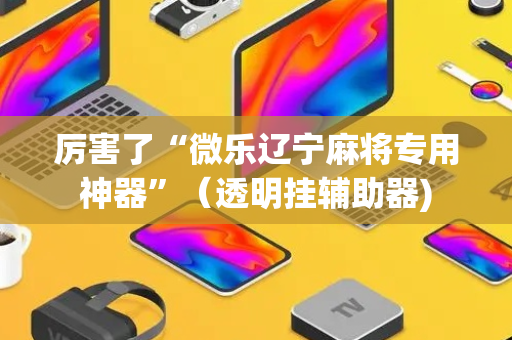 厉害了“微乐辽宁麻将专用神器”（透明挂辅助器)