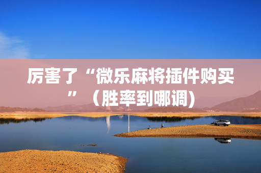 厉害了“微乐麻将插件购买”（胜率到哪调)