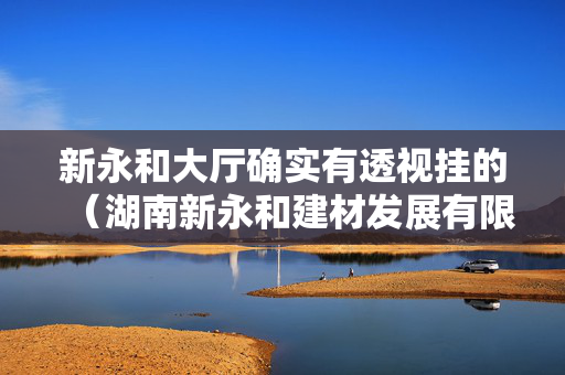 新永和大厅确实有透视挂的（湖南新永和建材发展有限公司）