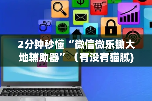 2分钟秒懂“微信微乐锄大地辅助器”（有没有猫腻)