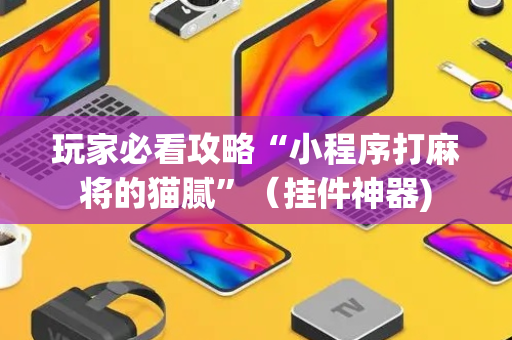玩家必看攻略“小程序打麻将的猫腻”（挂件神器)