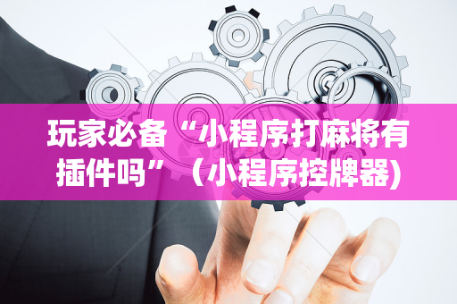 玩家必备“小程序打麻将有插件吗”（小程序控牌器)