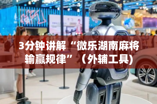 3分钟讲解“微乐湖南麻将输赢规律”（外辅工具)