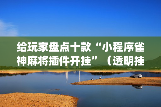 给玩家盘点十款“小程序雀神麻将插件开挂”（透明挂辅助器)