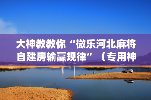大神教教你“微乐河北麻将自建房输赢规律”（专用神器下载)