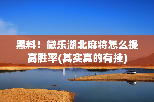黑料！微乐湖北麻将怎么提高胜率(其实真的有挂)