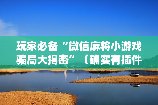 玩家必备“微信麻将小游戏骗局大揭密”（确实有插件吗)
