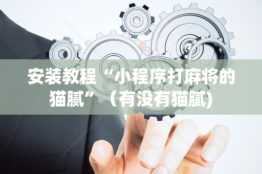 安装教程“小程序打麻将的猫腻”（有没有猫腻)