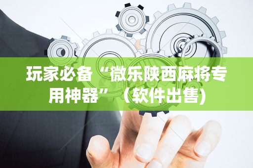 玩家必备“微乐陕西麻将专用神器”（软件出售)