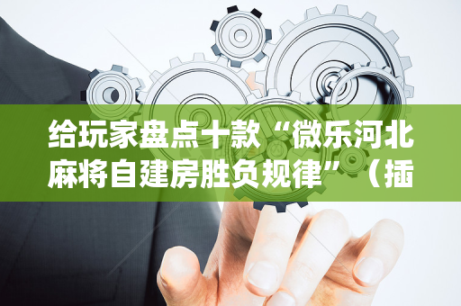 给玩家盘点十款“微乐河北麻将自建房胜负规律”（插件可信吗)