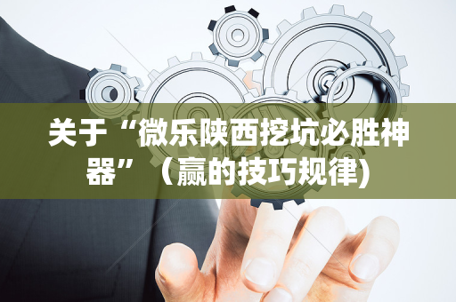 关于“微乐陕西挖坑必胜神器”（赢的技巧规律)