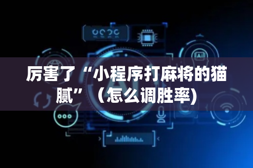 厉害了“小程序打麻将的猫腻”（怎么调胜率)