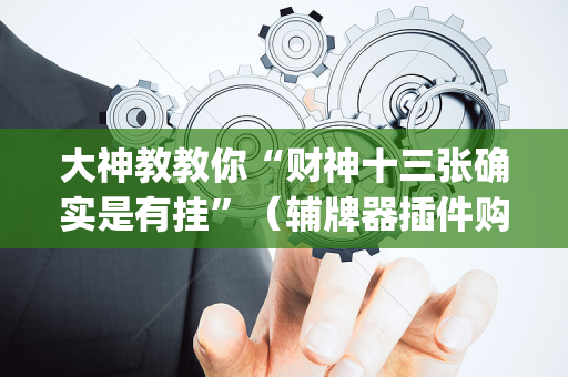 大神教教你“财神十三张确实是有挂”（辅牌器插件购买)