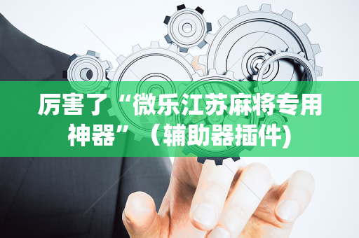 厉害了“微乐江苏麻将专用神器”（辅助器插件)