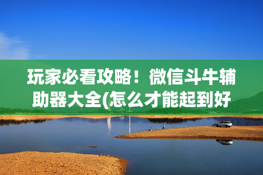 玩家必看攻略！微信斗牛辅助器大全(怎么才能起到好牌)