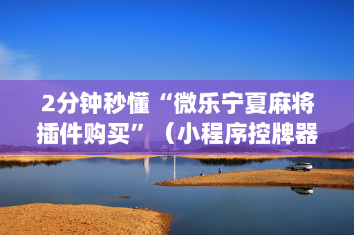 2分钟秒懂“微乐宁夏麻将插件购买”（小程序控牌器)