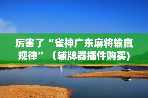 厉害了“雀神广东麻将输赢规律”（辅牌器插件购买)