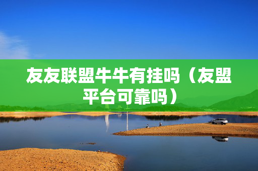 友友联盟牛牛有挂吗（友盟平台可靠吗）