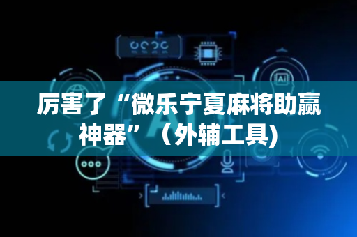 厉害了“微乐宁夏麻将助赢神器”（外辅工具)