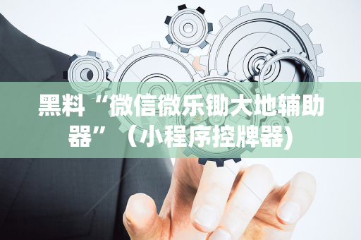 黑料“微信微乐锄大地辅助器”（小程序控牌器)