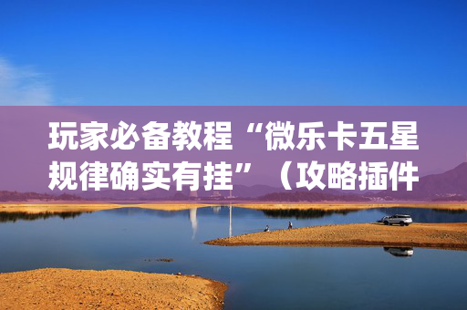 玩家必备教程“微乐卡五星规律确实有挂”（攻略插件)